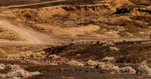 场均21+3！狄龙坚持索要1.2亿合同，太阳如果不给，将加盟雷霆